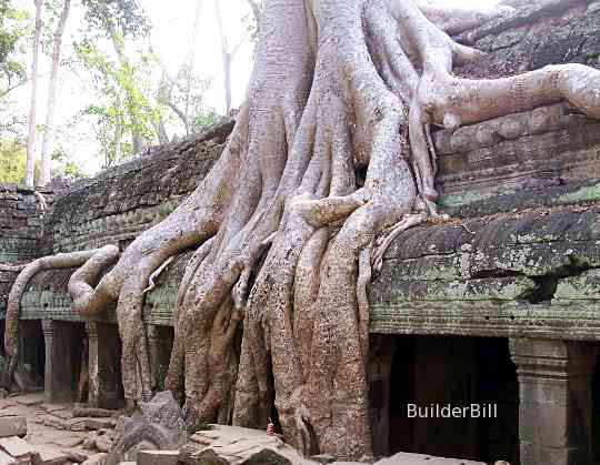 Ta Prom temple Angkor Wat