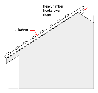 sketch of a cat ladder