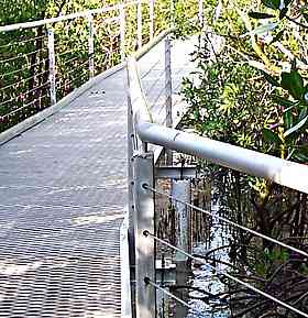 walkway deck through mangroves