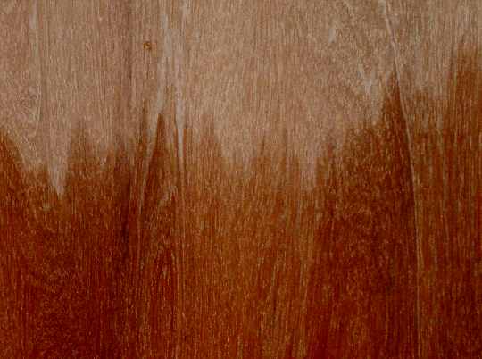 hardwood timber