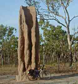 Termite mound in Northern Territoy
