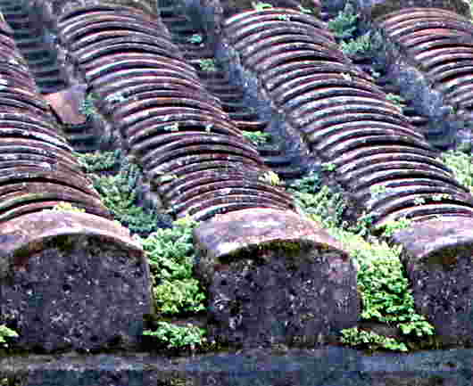 ancient clay tile roof