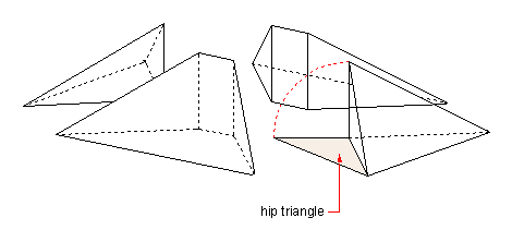 developement of the hip triangle