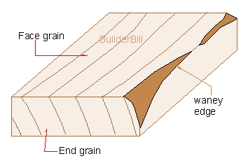 timber defects