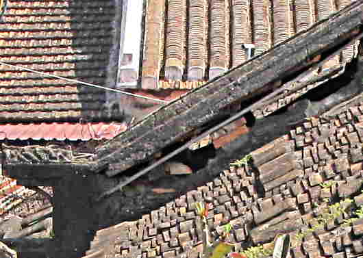 clay roof tiles in Vietnam